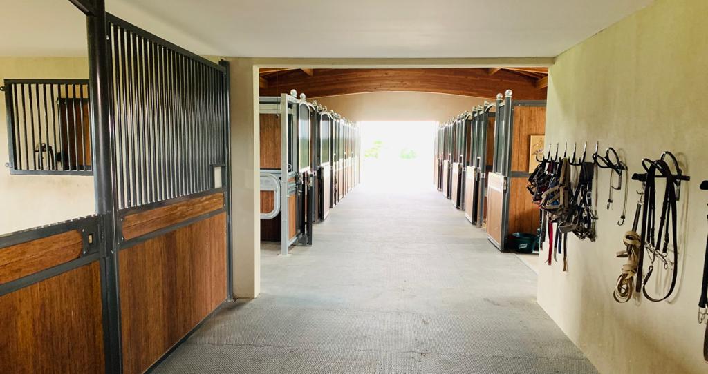 photo-2021-07-02-14-12-05-13