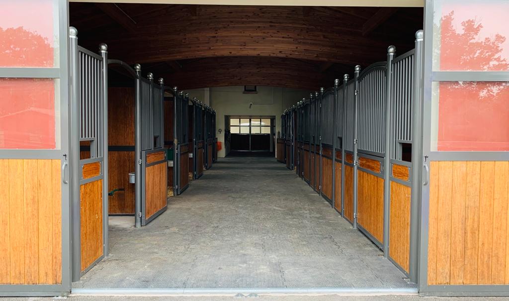 photo-2021-07-02-14-12-05-14