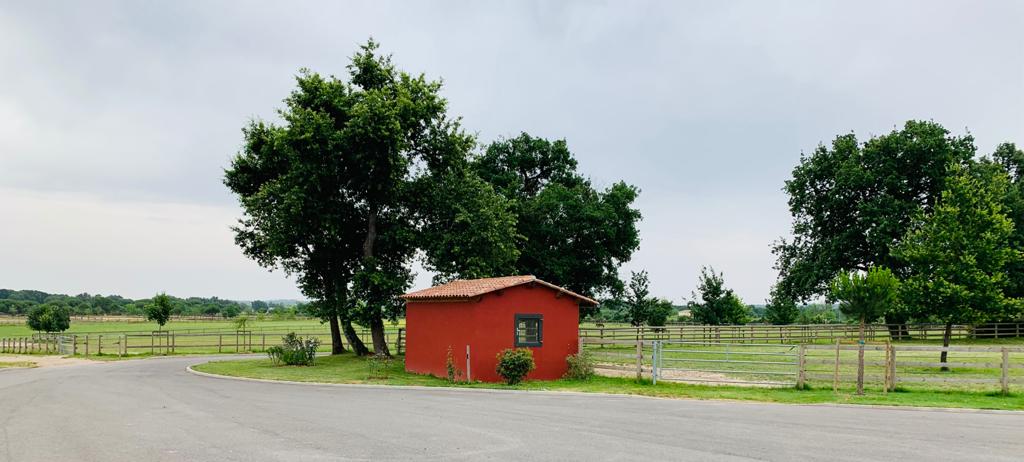 photo-2021-07-02-14-12-05-15