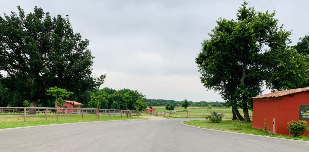 photo-2021-07-02-14-12-05-16